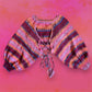 Hand Crochet Open Back Sweater in Rainbow